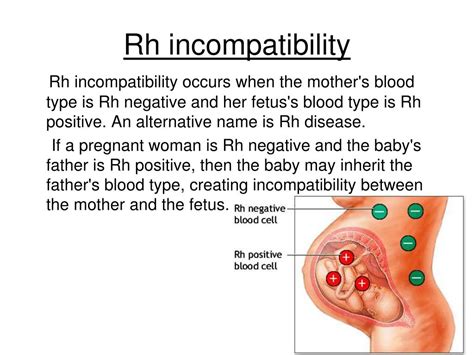 Why Do Some Pregnant Women Type as Both Rh。